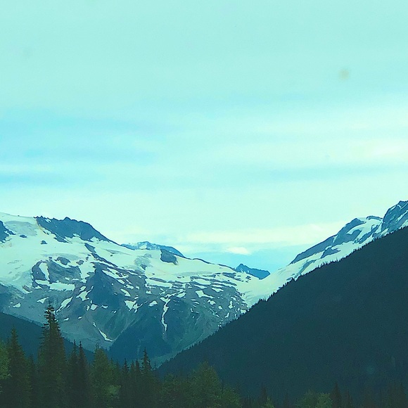 Meet your Posher, Rinks - Picture 6 of 8